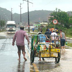 Vítima da chuva saqueia comércio e leva carrinho cheio de cerveja.