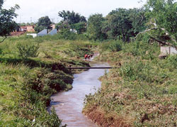 Não… esse aí não é o Córrego da Bala, mas você nem saberia disso se não parasse com esse mouse aí, né?