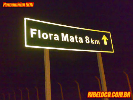 Praca do Braziu 154 - Flora Mata 8 Km