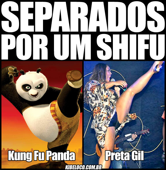 Separados por um Shifu: Kung Fu Panda e Preta Gil.
