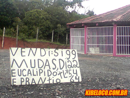 Praca do Braziu 168 - “Vendi-si mudas eucalipido e prantiu”