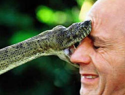 “Sssssssssseu inútil!!!”