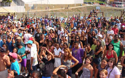 “De grátis, até Lulu Santos na testa.”