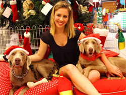 Ana-Carolina-cachorros-Natal